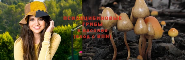бошки Алексеевка
