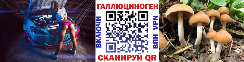 даркнет телеграм  где найти наркотики  Кинель  Галлюциногенные грибы GOLDEN TEACHER 